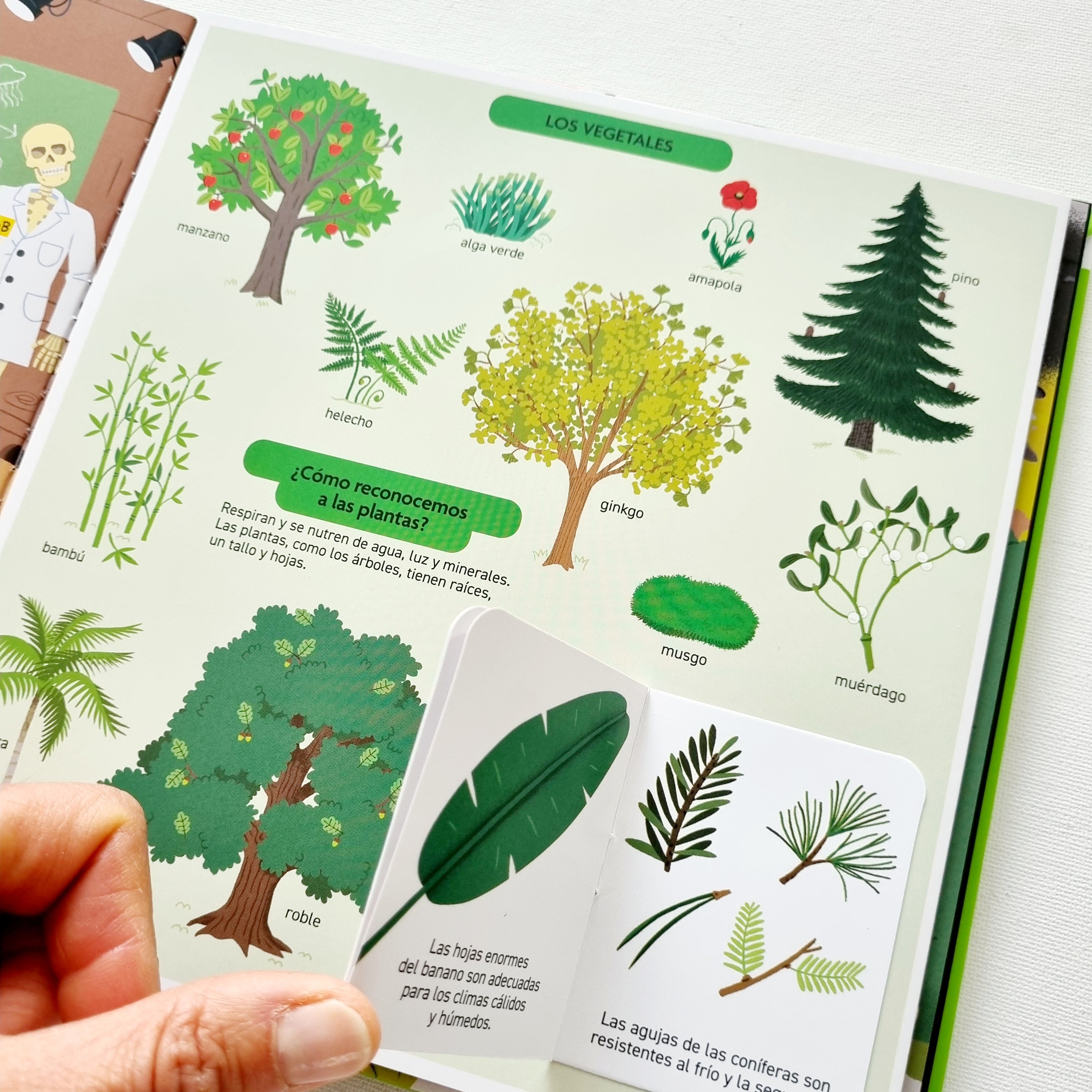 El libro de la naturaleza. Pequeños curiosos El libro de la naturaleza. Pequeños curiosos